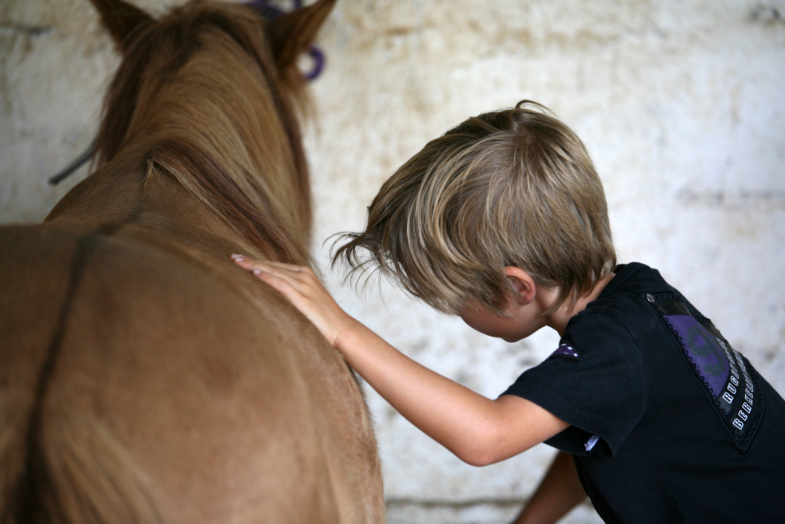 Randonnée équestre au Gascou