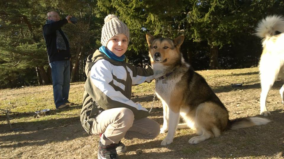 Terre Inukshuk - Cani-Randonnée et visite de Chenil