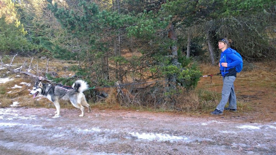 Terre Inukshuk - Cani-Randonnée et visite de Chenil, Laburgade - photo 2
