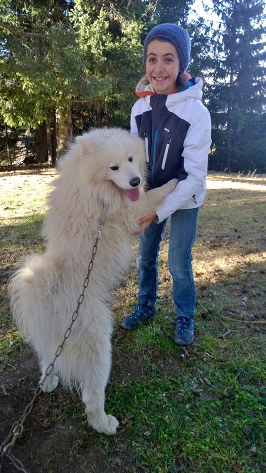 Terre Inukshuk - Cani-Randonnée et visite de Chenil, Laburgade - photo 3
