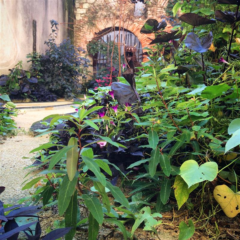 Jardin de la Sorcière et du Dragon