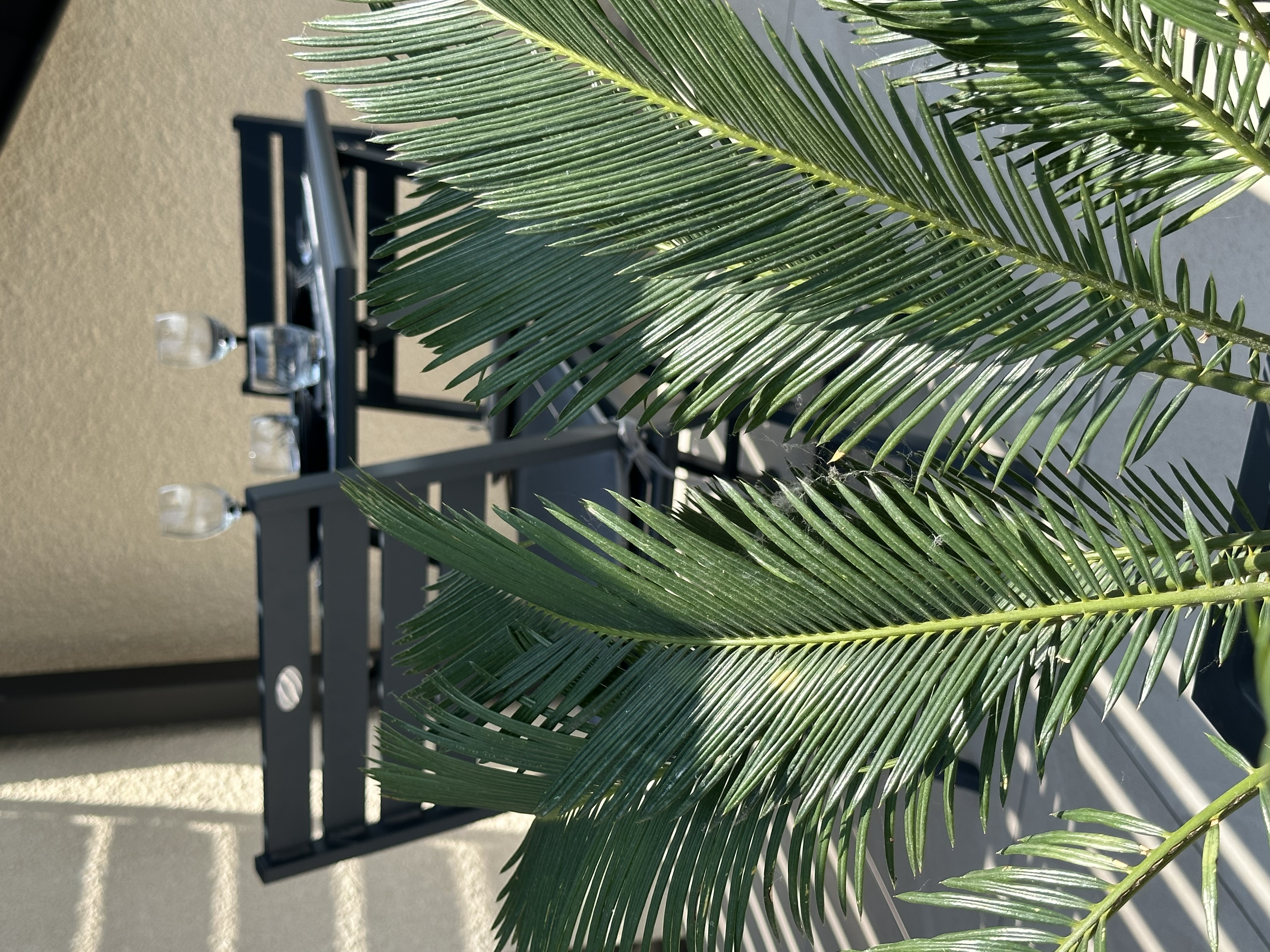 Le Couquet - studio indépendant à l'étage, Capdenac - photo 2