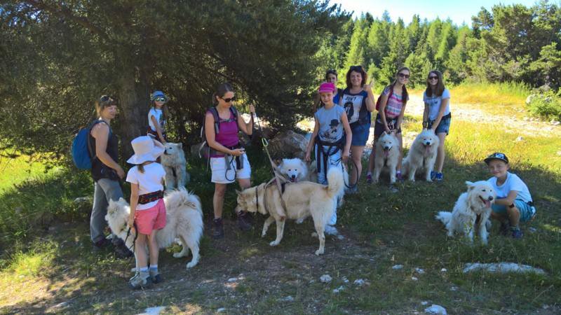 Terre Inukshuk - Cani-Randonnée et visite de Chenil, Laburgade - photo 4
