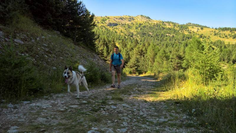 Terre Inukshuk - Cani-Randonnée et visite de Chenil, Laburgade - photo 6