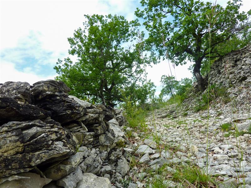 13St Martin de Cours - Montée sur le Pech © Lot Tourisme - C. Sanchez
