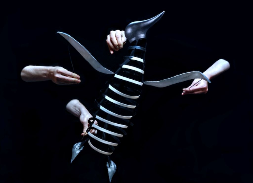 Spectacle jeune public à Figeac : Le complexe du pingouin