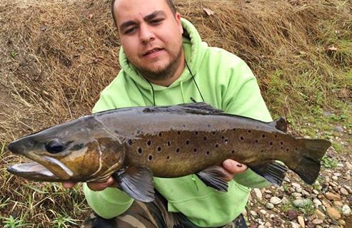 Mickaël Andrieu - Moniteur Guide de Pêche, Tauriac - photo 2