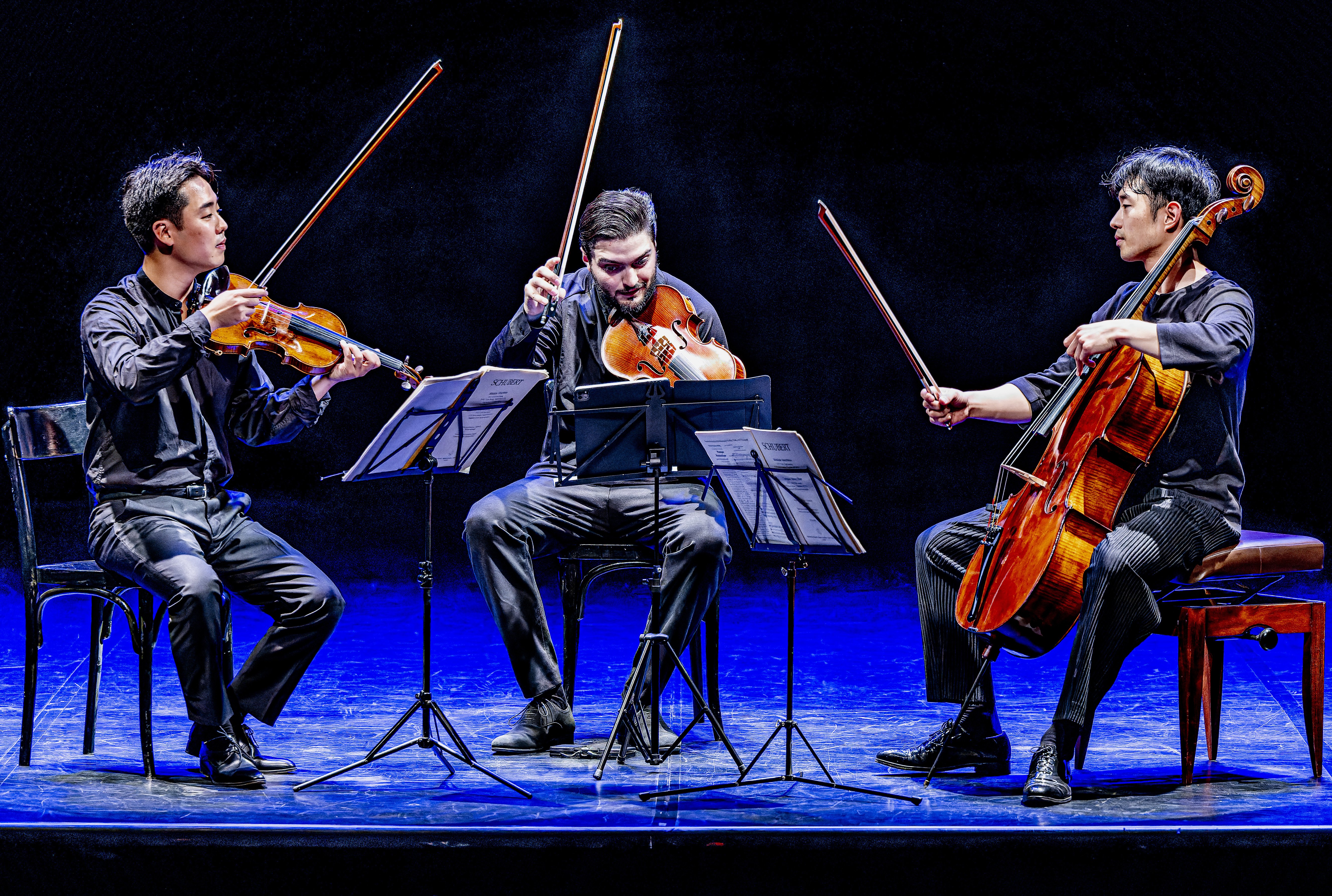 Trio Arnold [ Festival de Saint-Céré ]