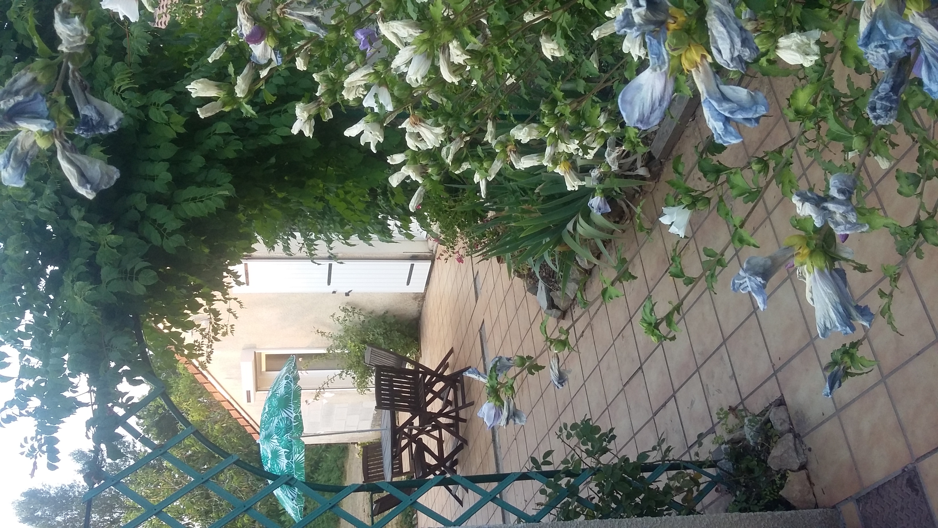 Pis-en-lits, Vire-sur-Lot - photo 9