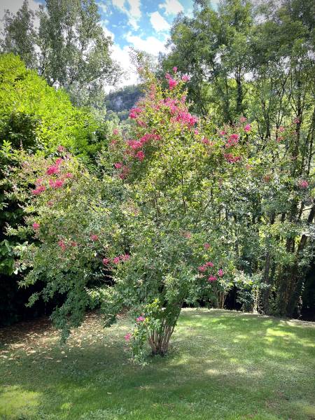 L'écluse Gîte au bord de l'eau (Lot), Montbrun - photo 14