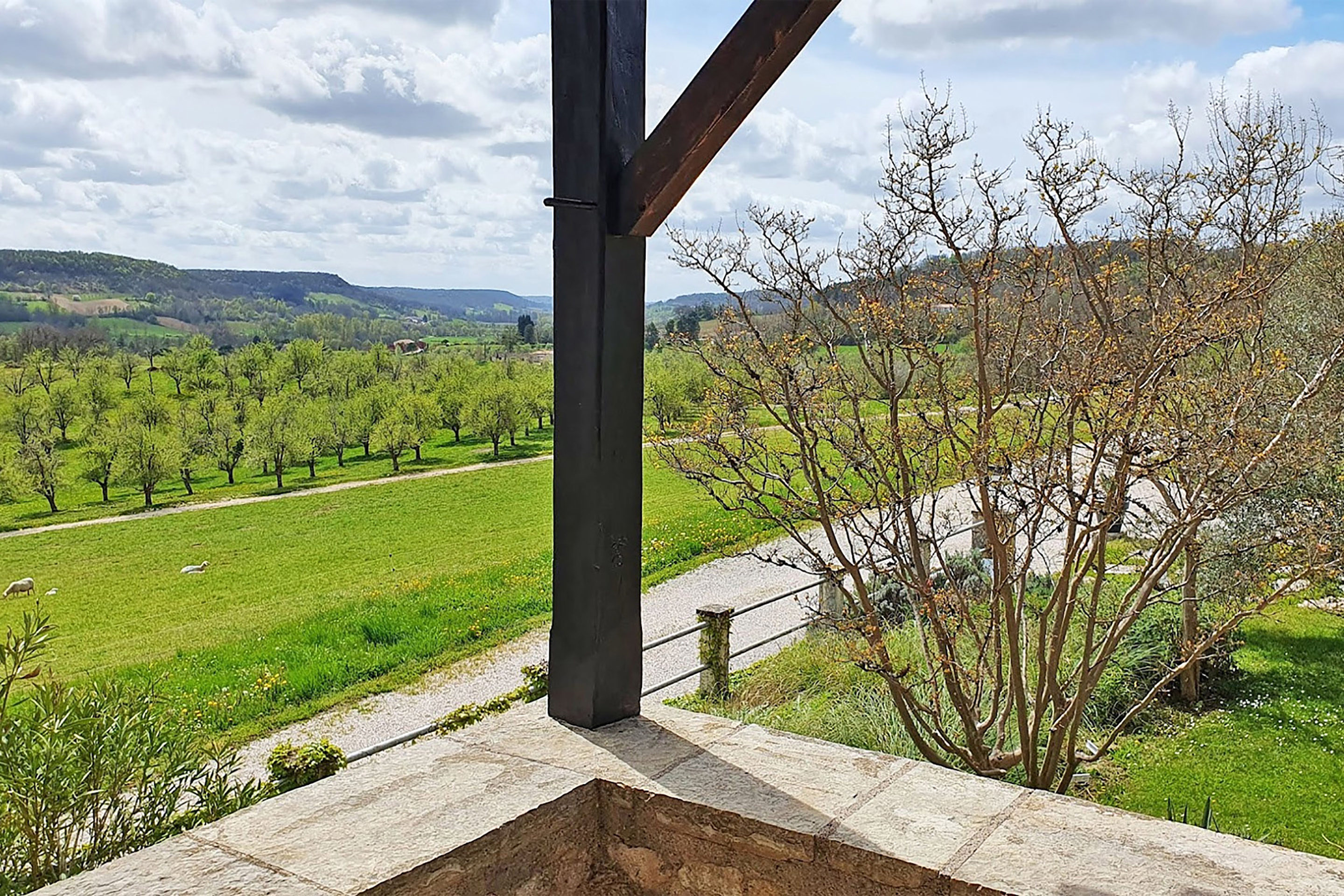 Domaine Lapèze - Gîte Le Cabernet, Montcuq-en-Quercy-Blanc - photo 4