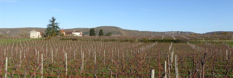 Clos Dauliac