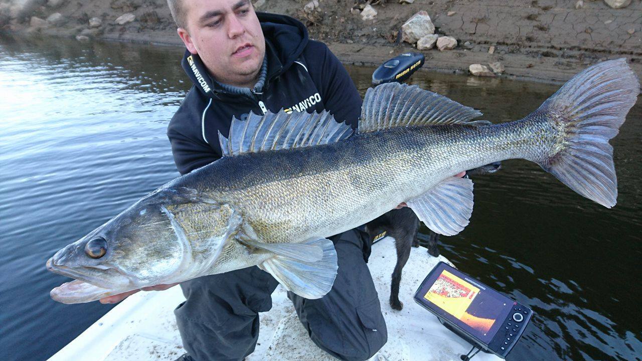 Mickaël Andrieu - Moniteur Guide de Pêche, Tauriac - photo 3