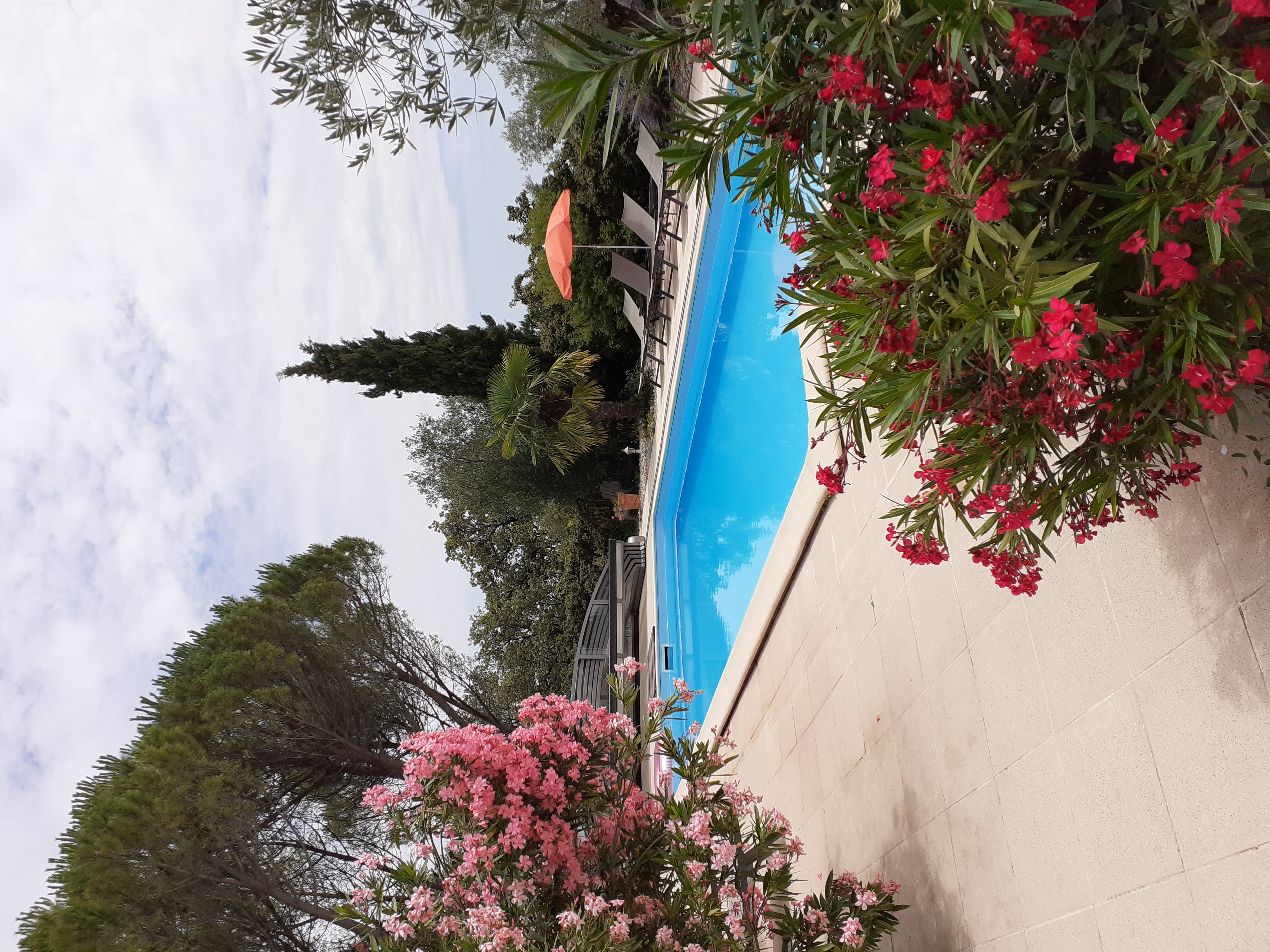 Les Romarins, Sénaillac-Lauzès - photo 9