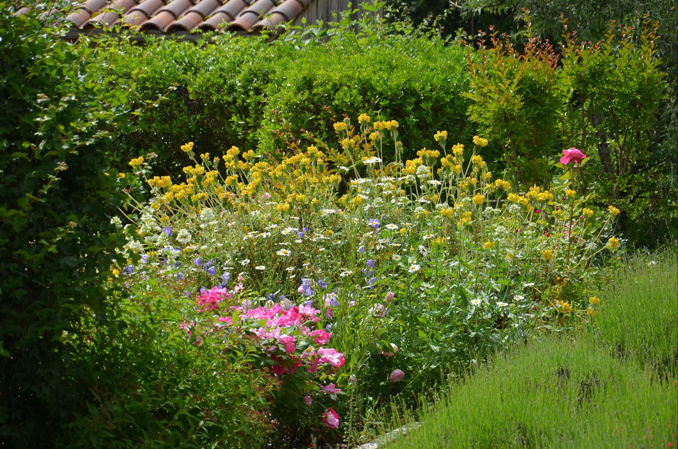 Les Gîtes du Rigaudou - Durocher, Saint-Denis-lès-Martel - photo 9