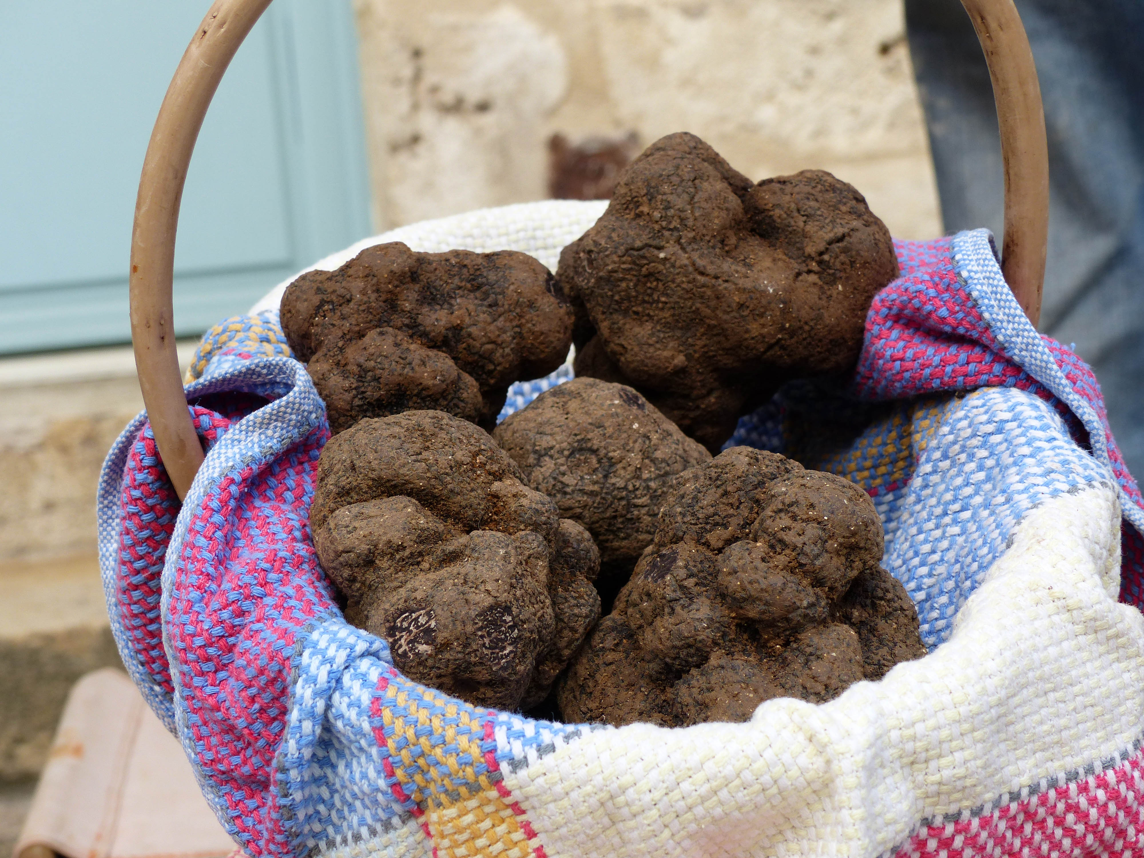 Omelette Géante aux Truffes à Lalbenque — visuel événement