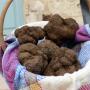 Panier de truffes