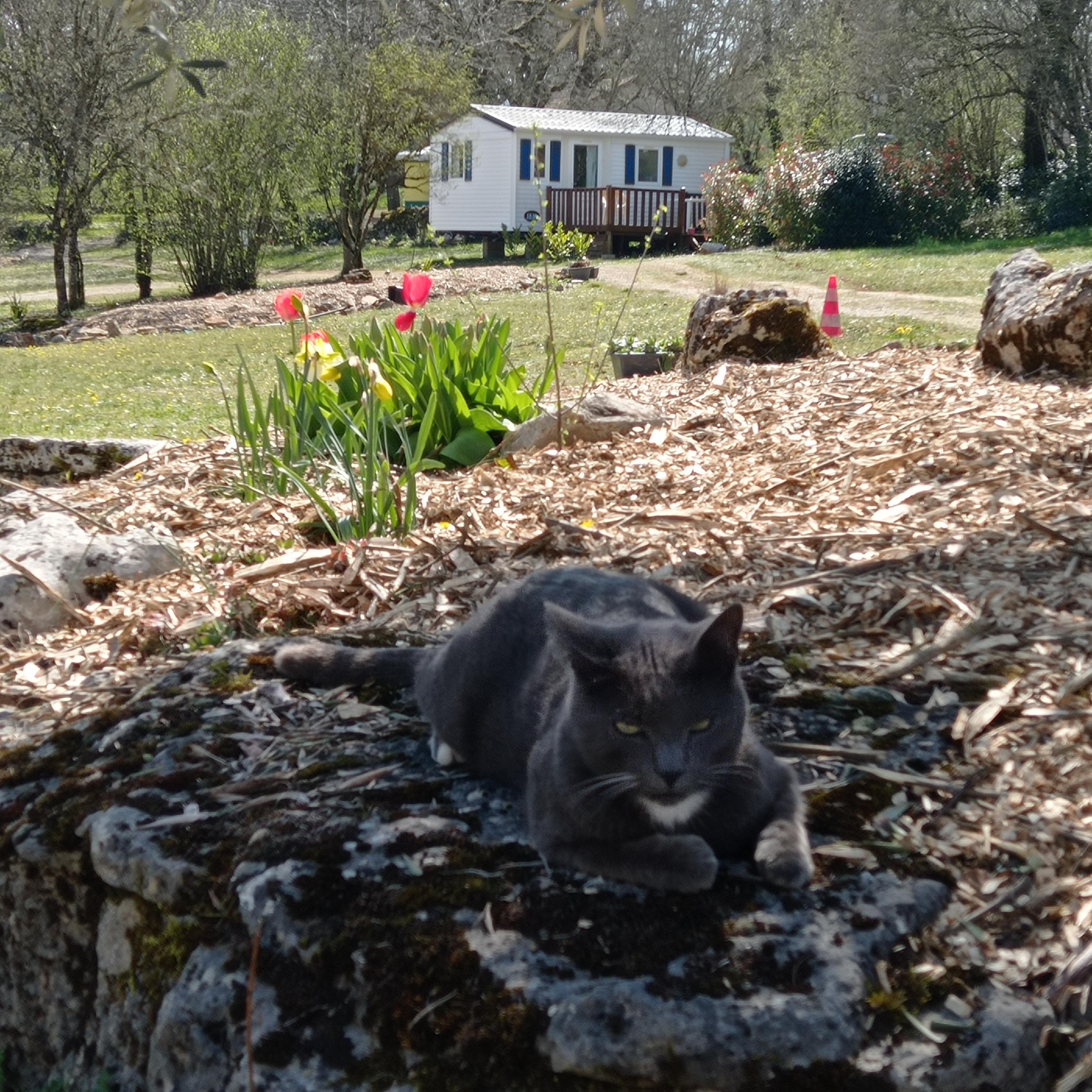 Camping Le Bel Air, Limogne-en-Quercy - photo 4
