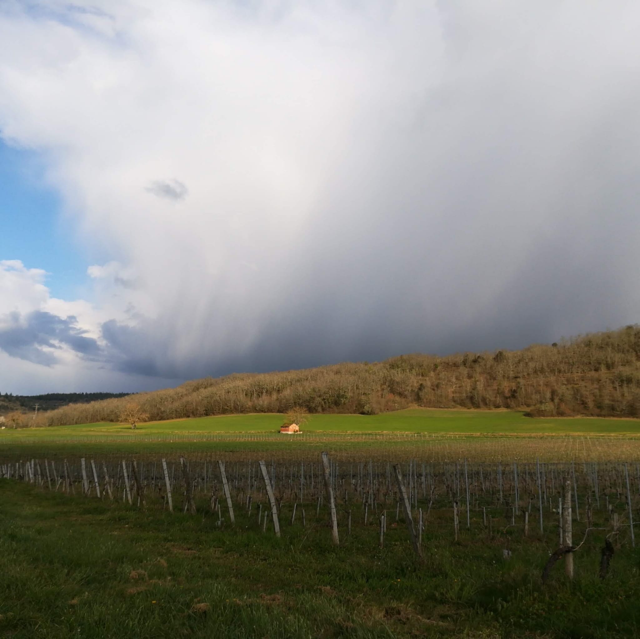 Domaine Dols — photo 2