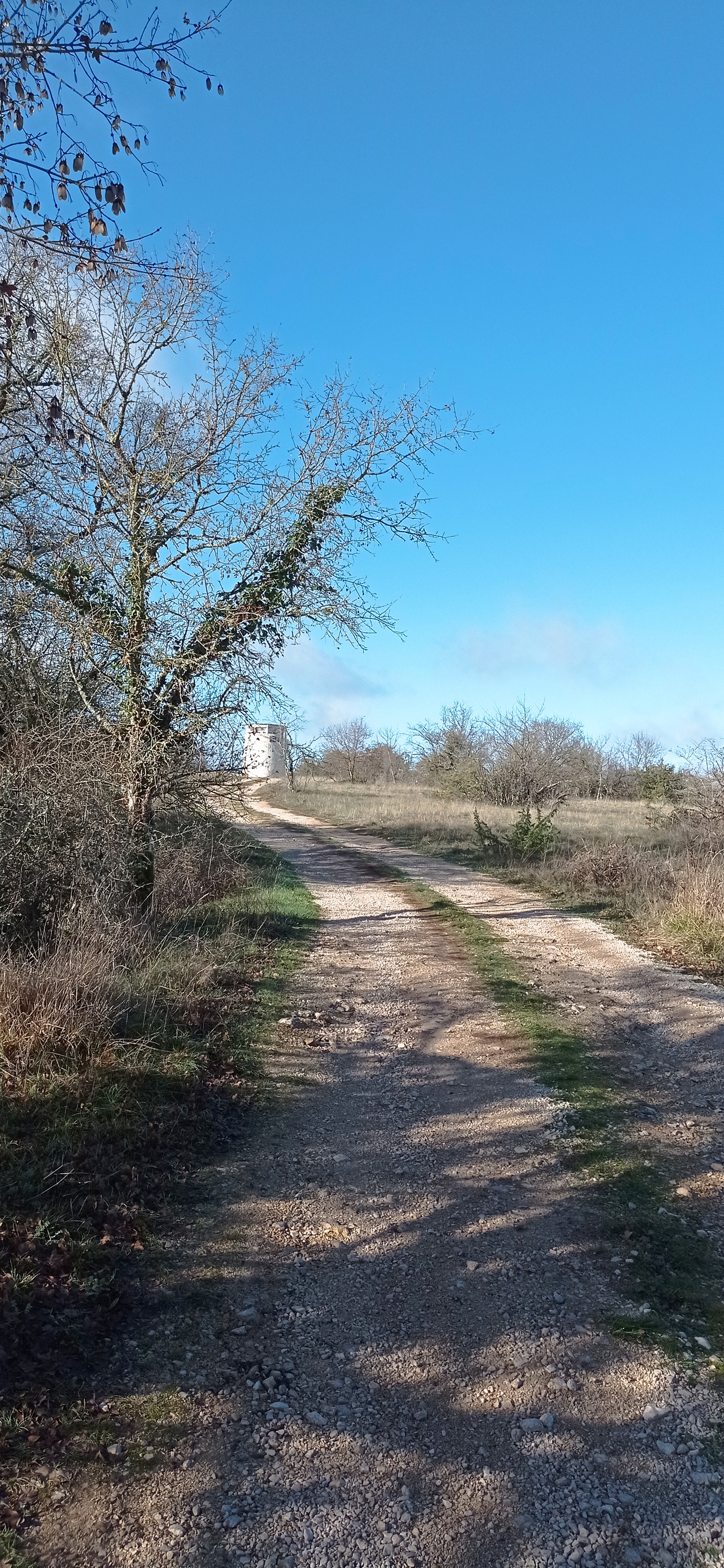 Le Grand Ciel Solitaire, Quissac - photo 5