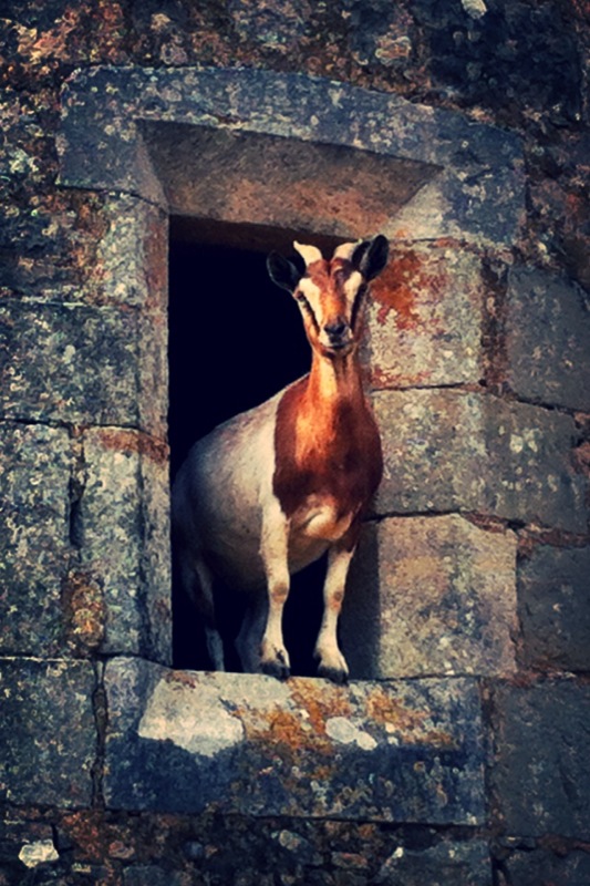 Les Tours de Tersac, Cressensac-Sarrazac - photo 19