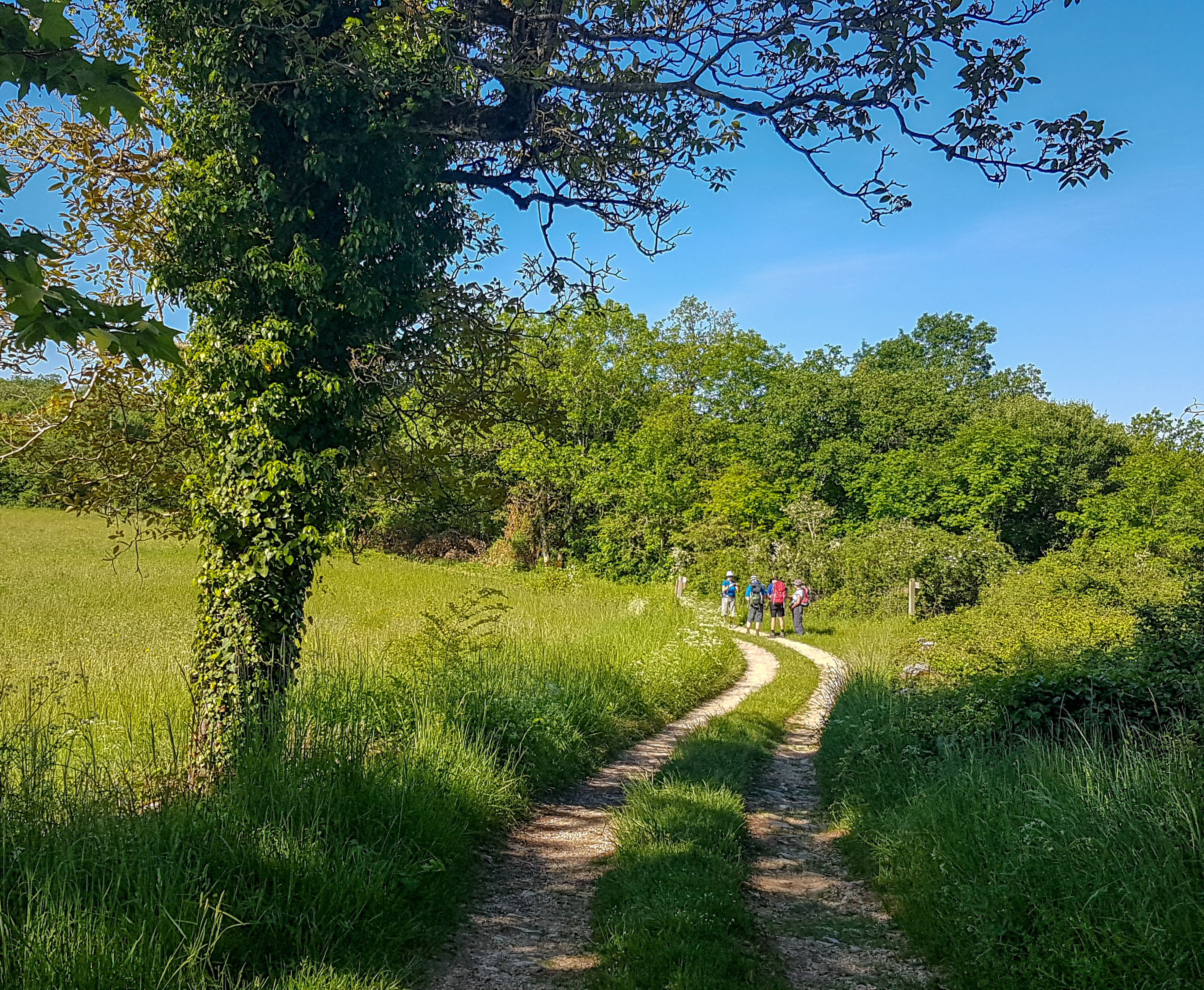 Randonnée Pédestre Trotte Cailloux