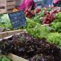 180601-Produits marché de Cahors16©V.SEGUIN-OT Cahors-St Cirq Lapopie