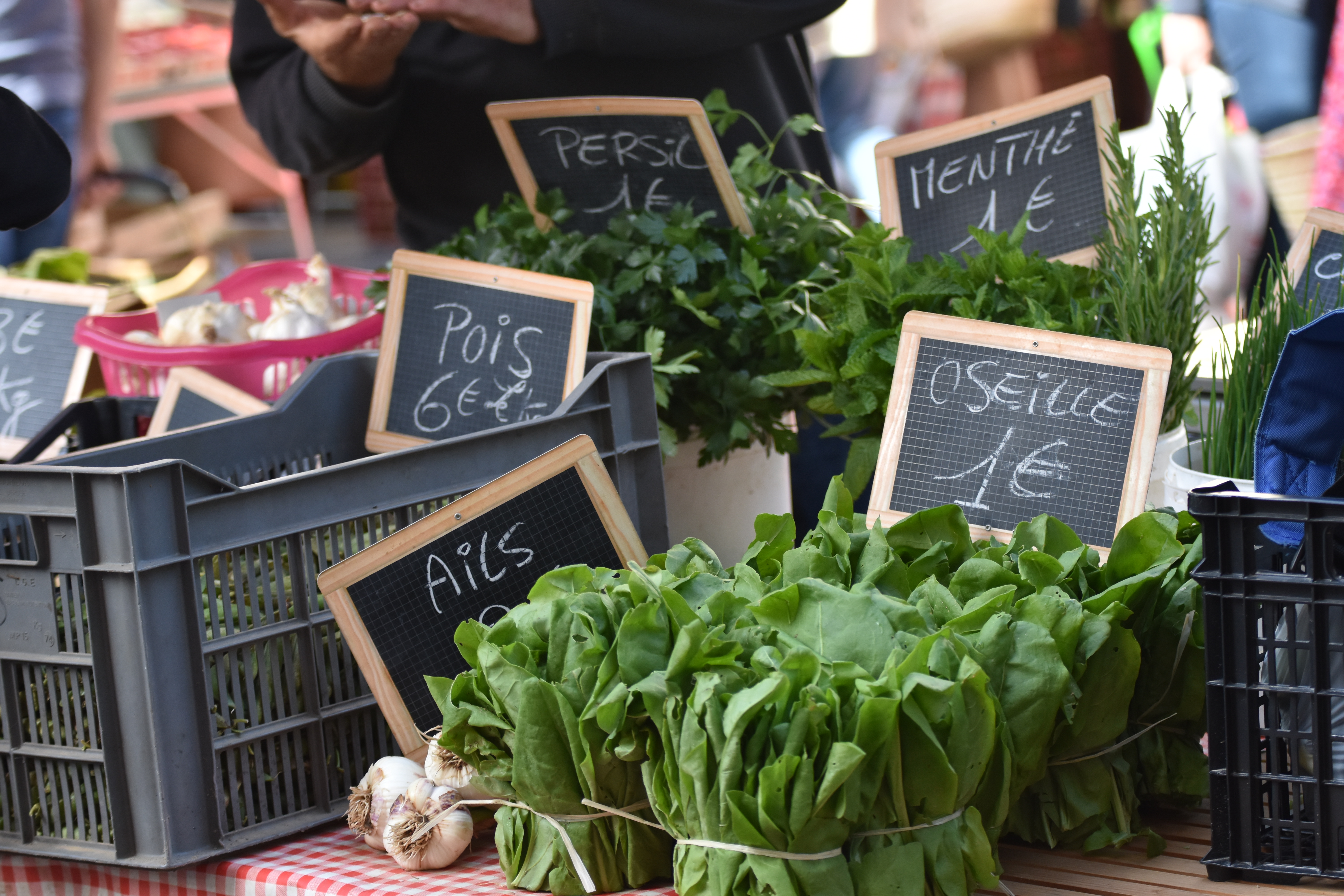 Marché à Saint-Cirq Lapopie