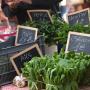 180601-Produits marché de Cahors9