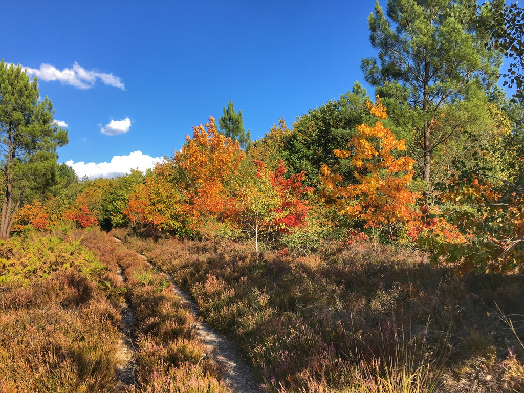 Circuit des landes du Frau