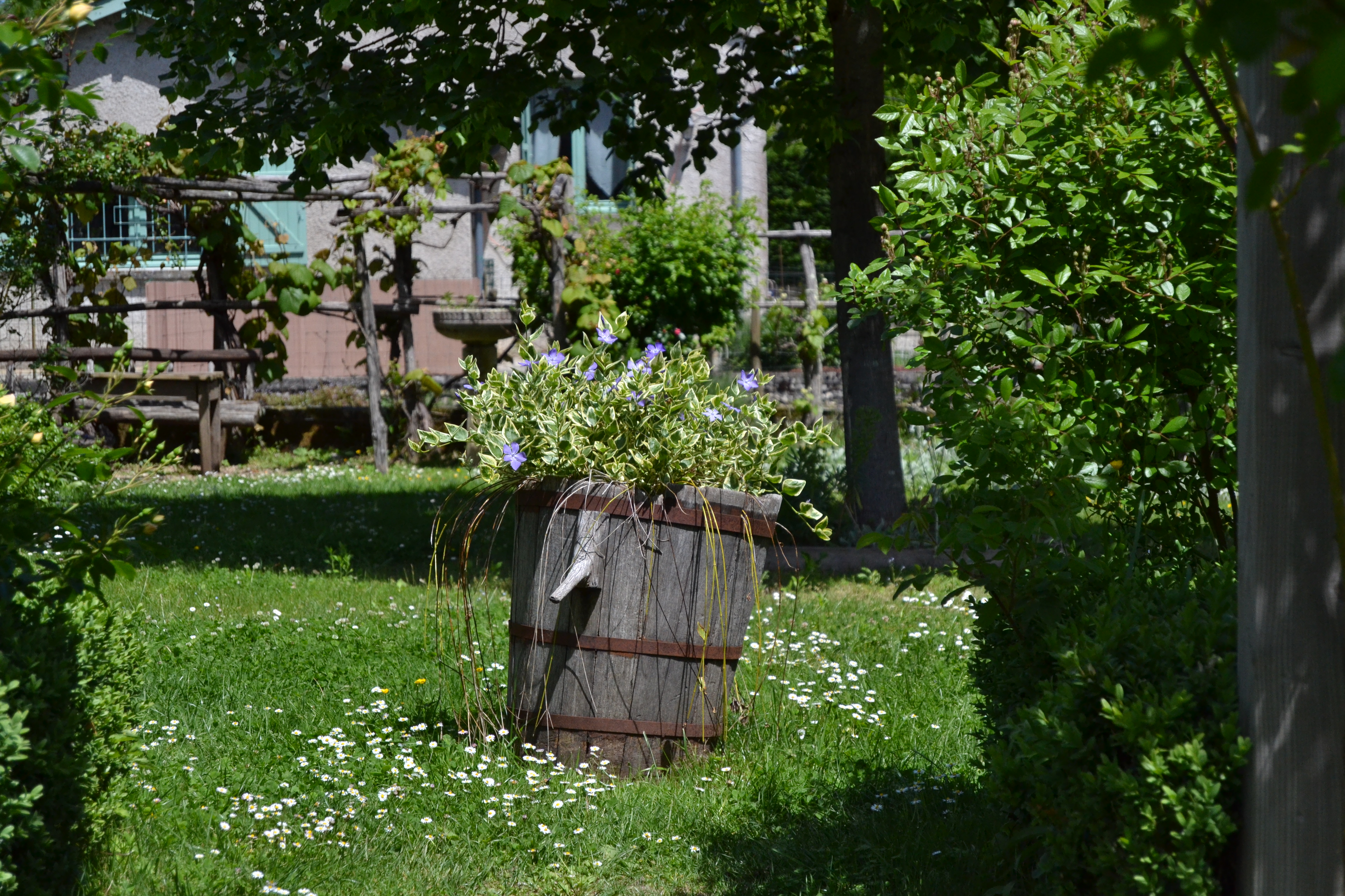 Le Jardin des Sens, Castelfranc - photo 6