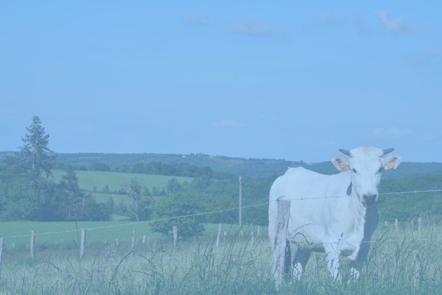 Conférence de Latitude, les Amis de Barbara Phillips : Éleveurs et biodiversité : une coopération vertueuse au service du territoire des Coteaux Gascons