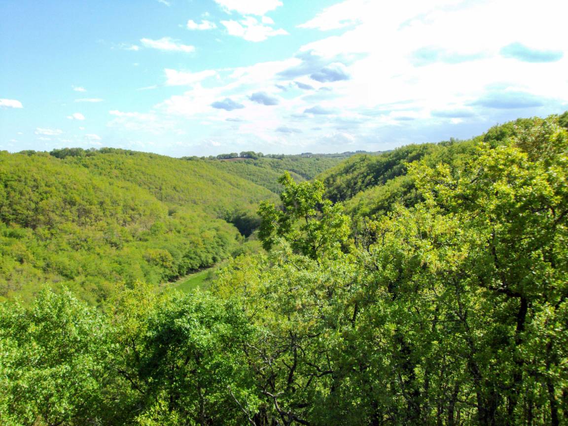 Chez Chantal CAZARD, Cœur de Causse - photo 19