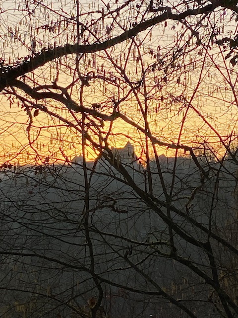 Manoir de Rieuzal, Loubressac - photo 14