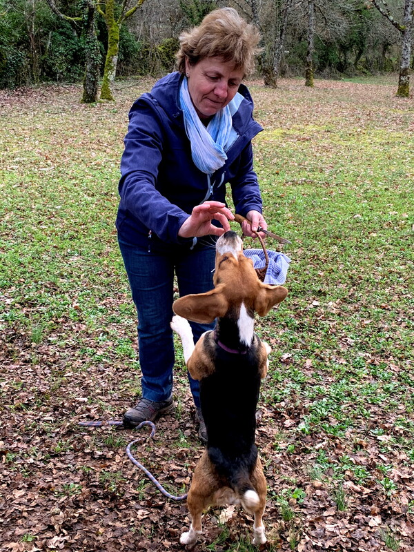 Visite de la truffière à Truffes Passion