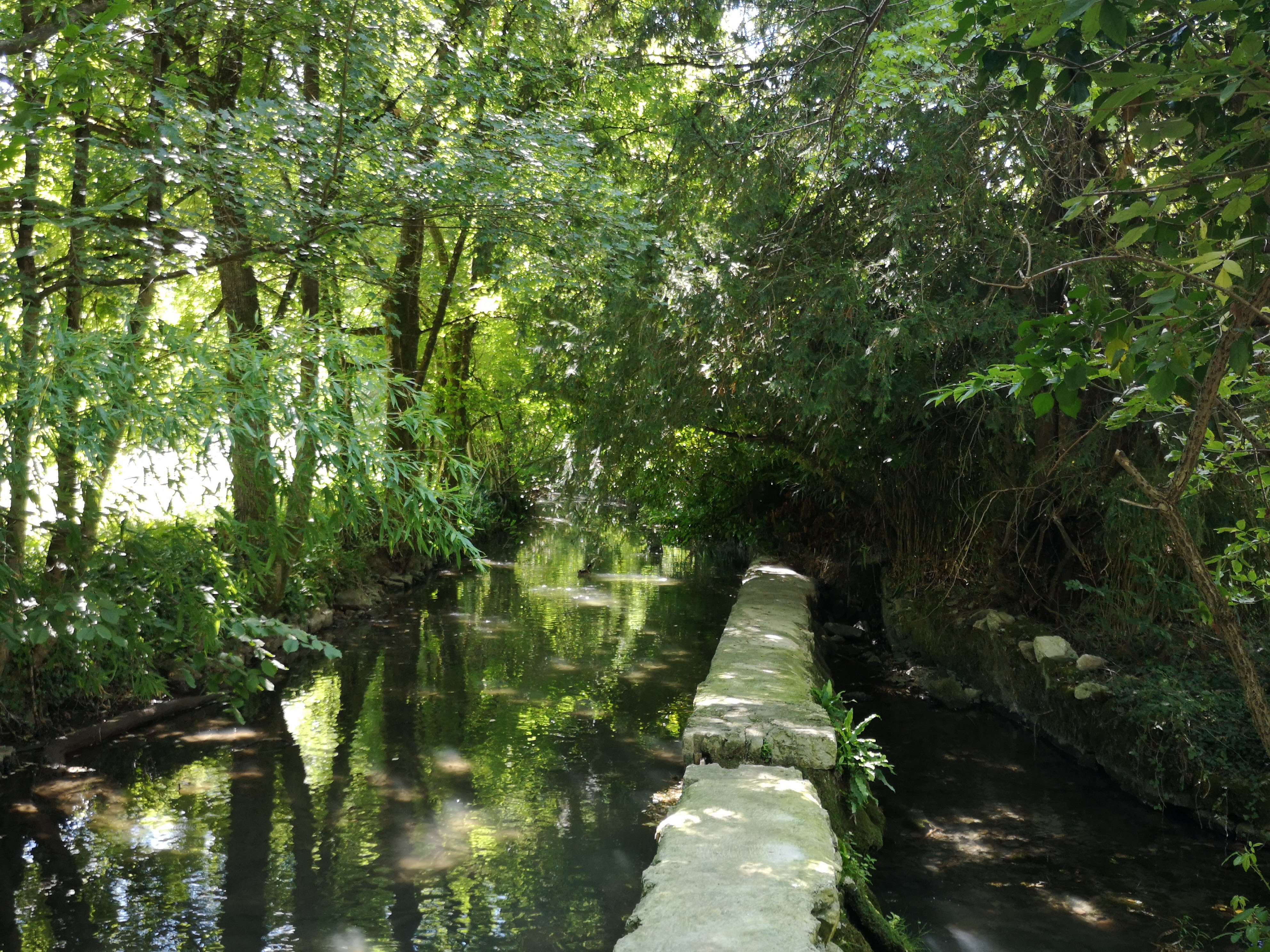 Aire de Pique-nique de Saint-Vincent-Rive-d'Olt — photo 2