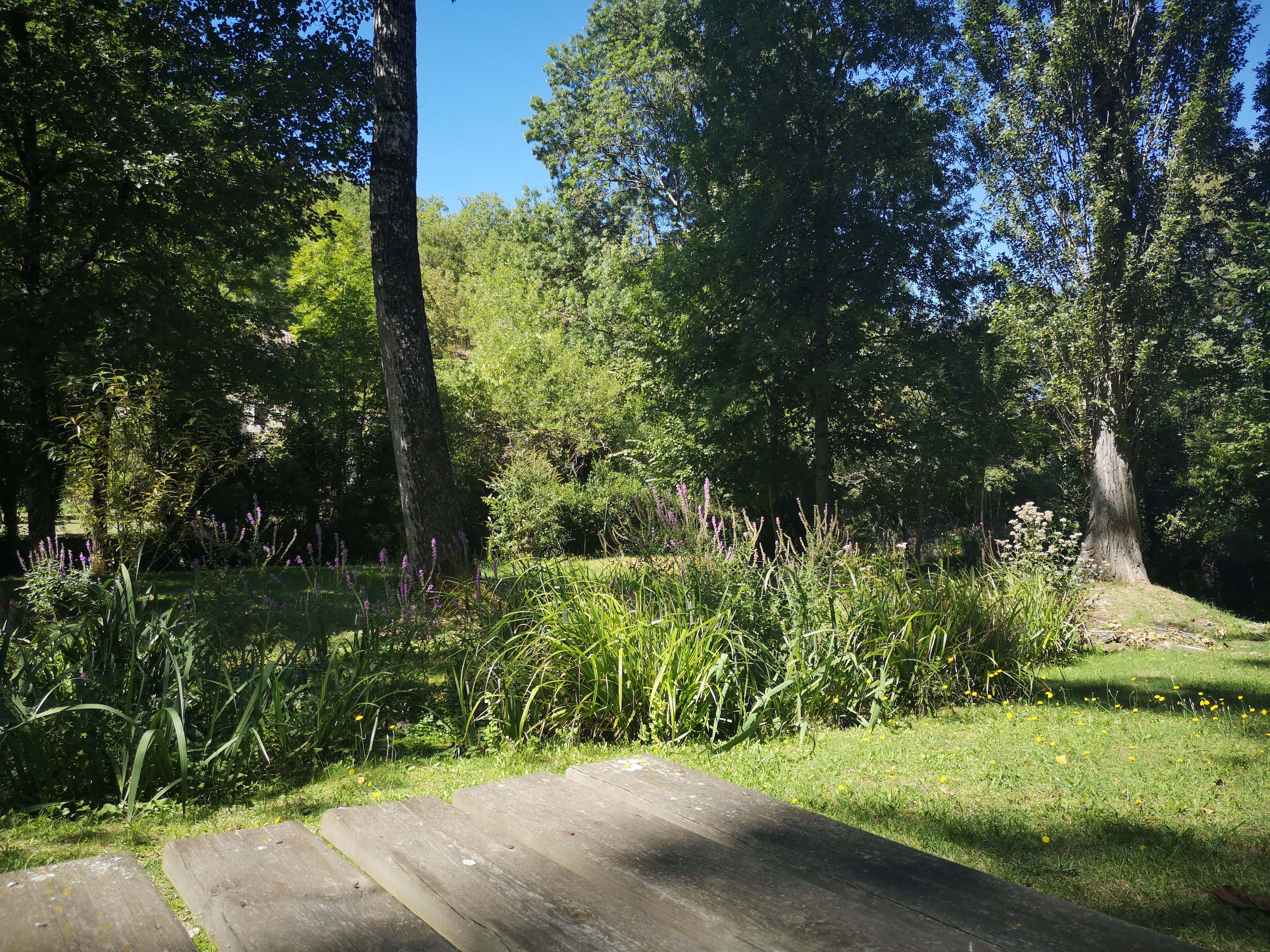 Aire de Pique-nique de Saint-Vincent-Rive-d'Olt — photo 3