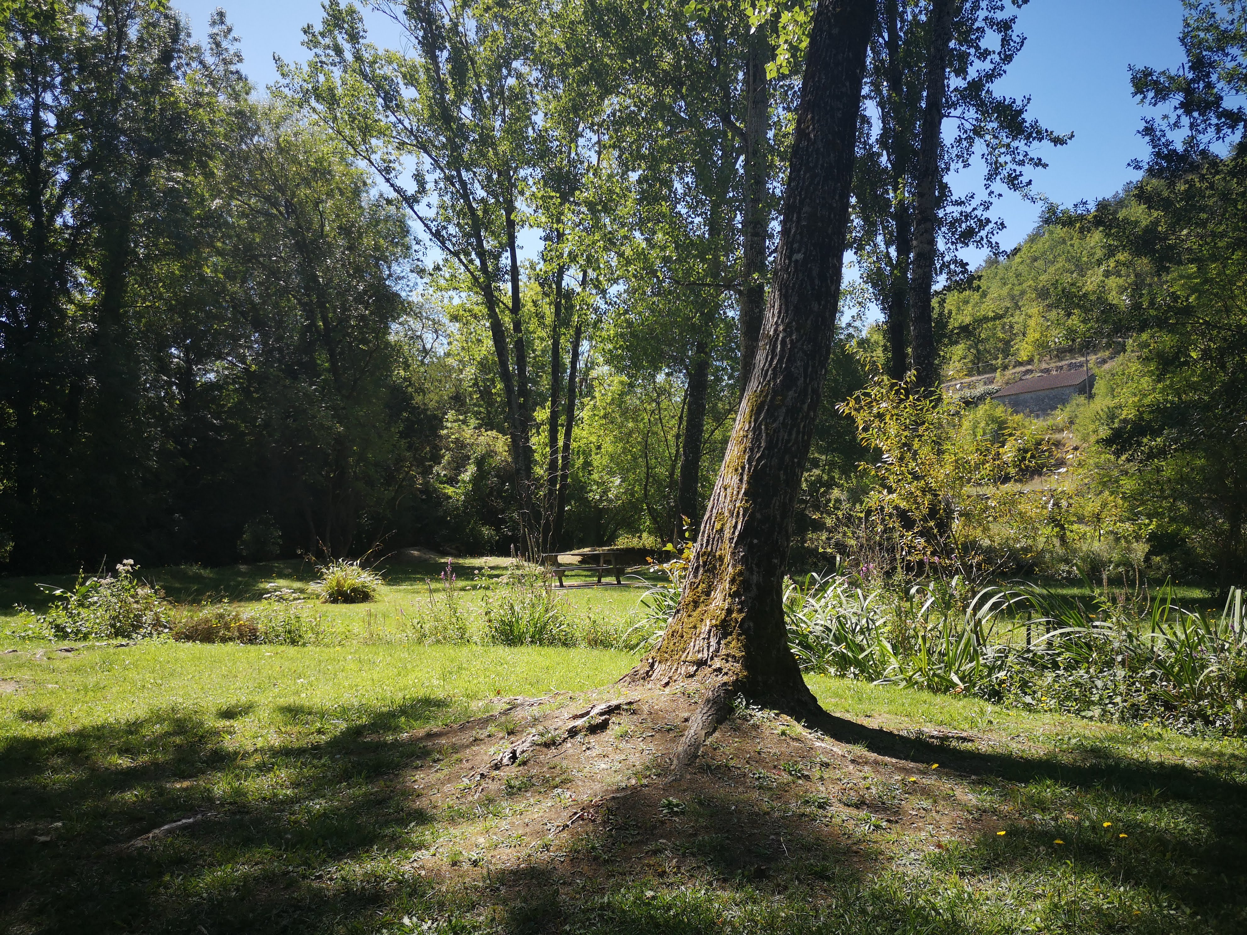Aire de Pique-nique de Saint-Vincent-Rive-d'Olt - photo 2