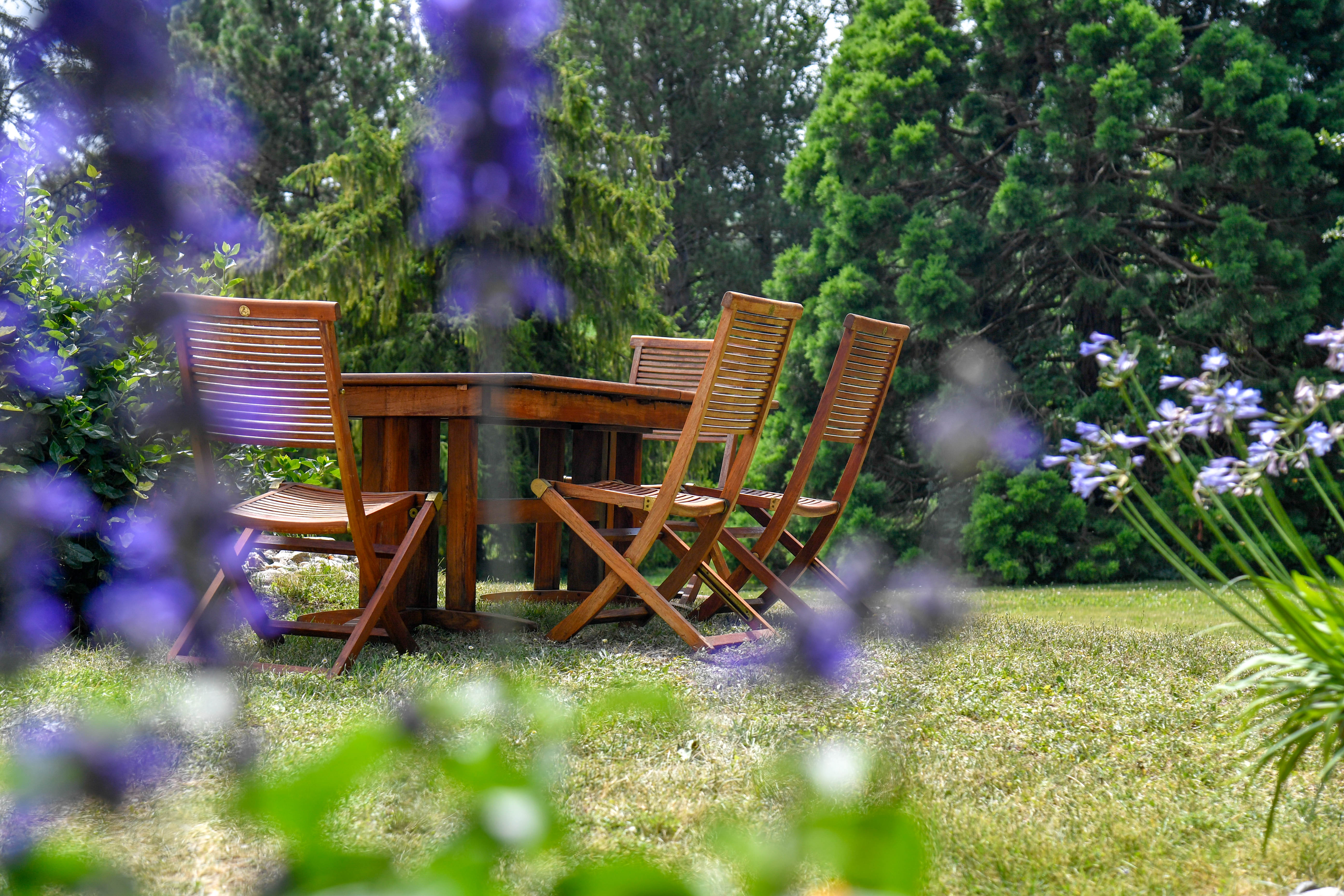 Domaine Les Gaillardoux, Montdoumerc - photo 15