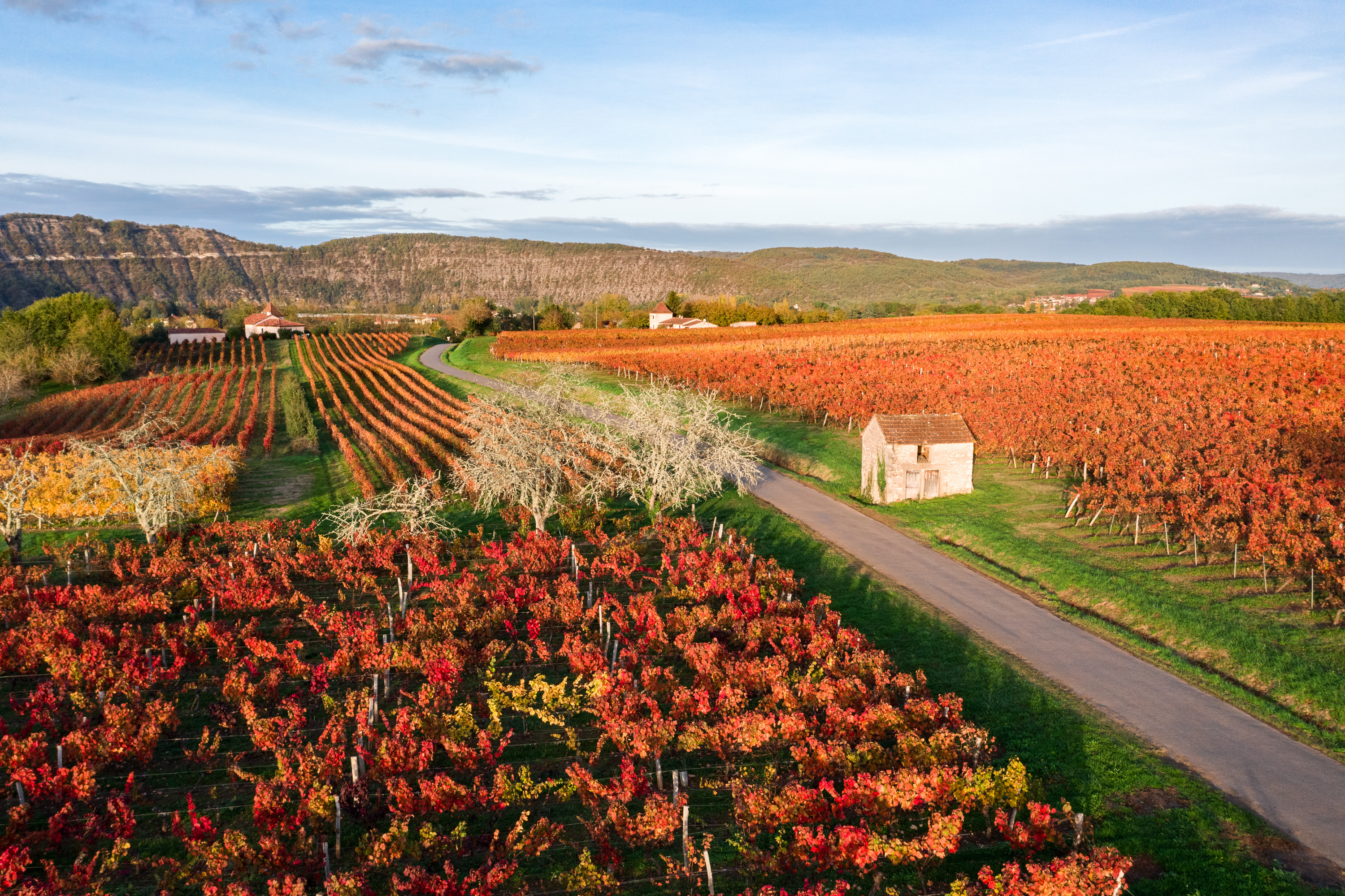Vignobles et rivière Lot — photo 3