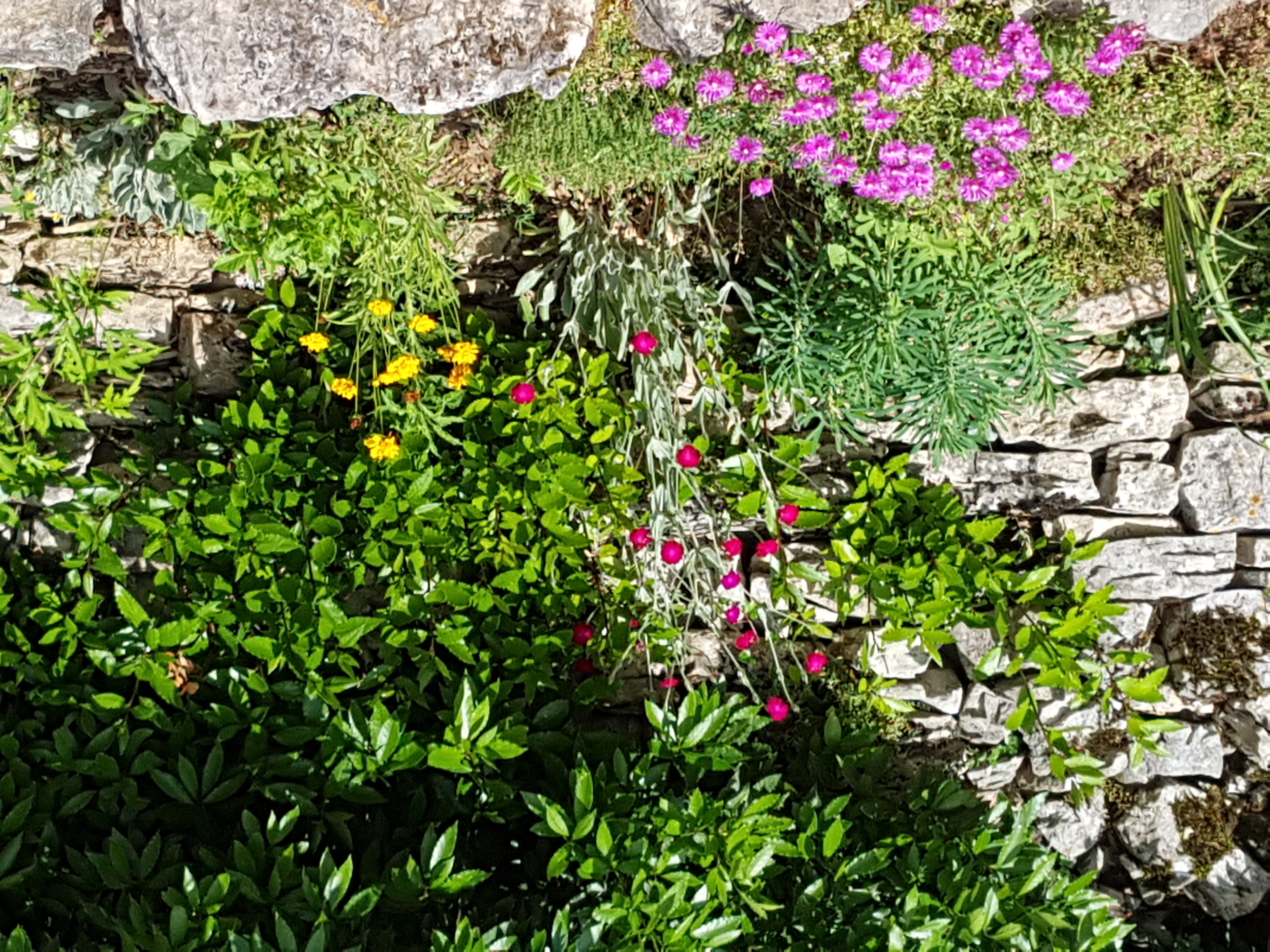 Le Gite De Pech Poudres, Saint-Martin-Labouval - photo 6