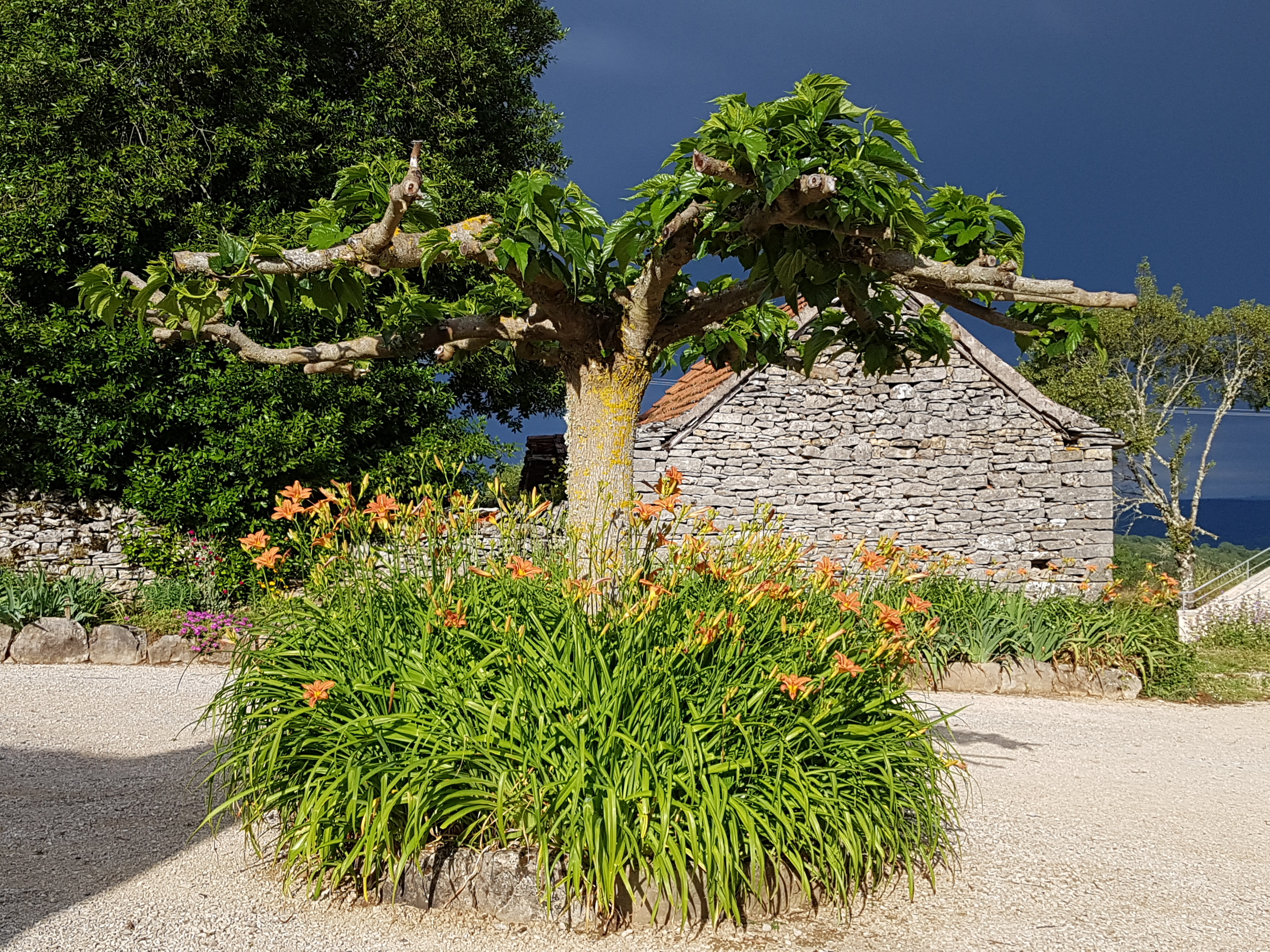 Le Gite De Pech Poudres, Saint-Martin-Labouval - photo 8
