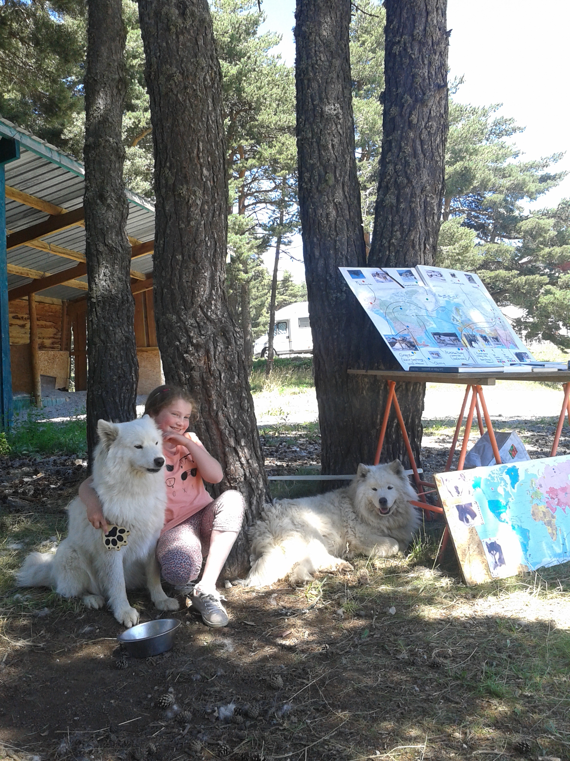Terre Inukshuk - Cani-Randonnée et visite de Chenil, Laburgade - photo 9