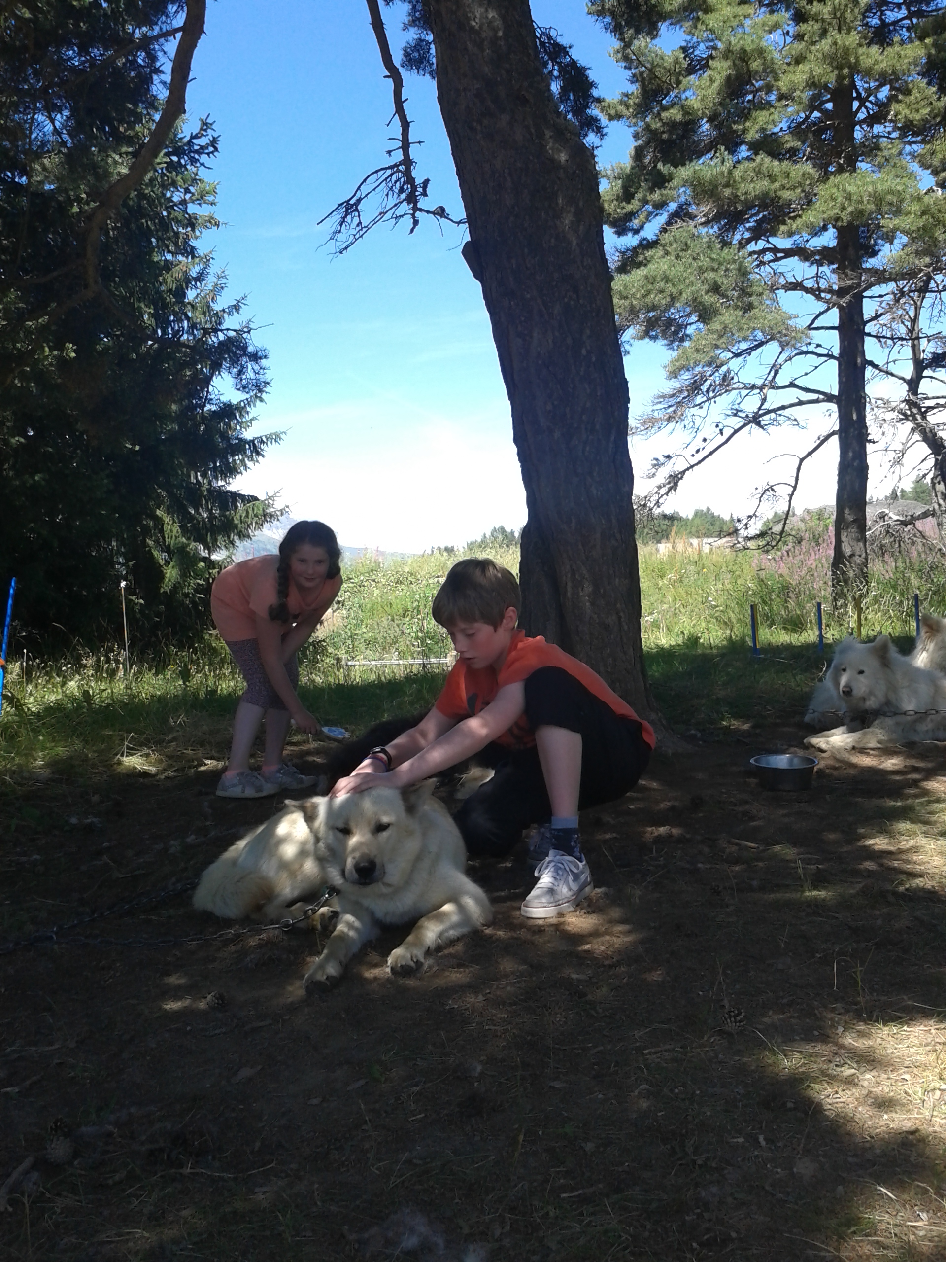 Terre Inukshuk - Cani-Randonnée et visite de Chenil, Laburgade - photo 11