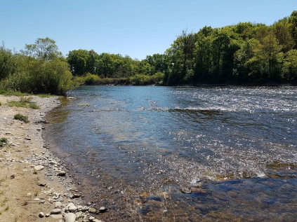 Aire Camping-Car Parc de Girac, Girac - photo 4