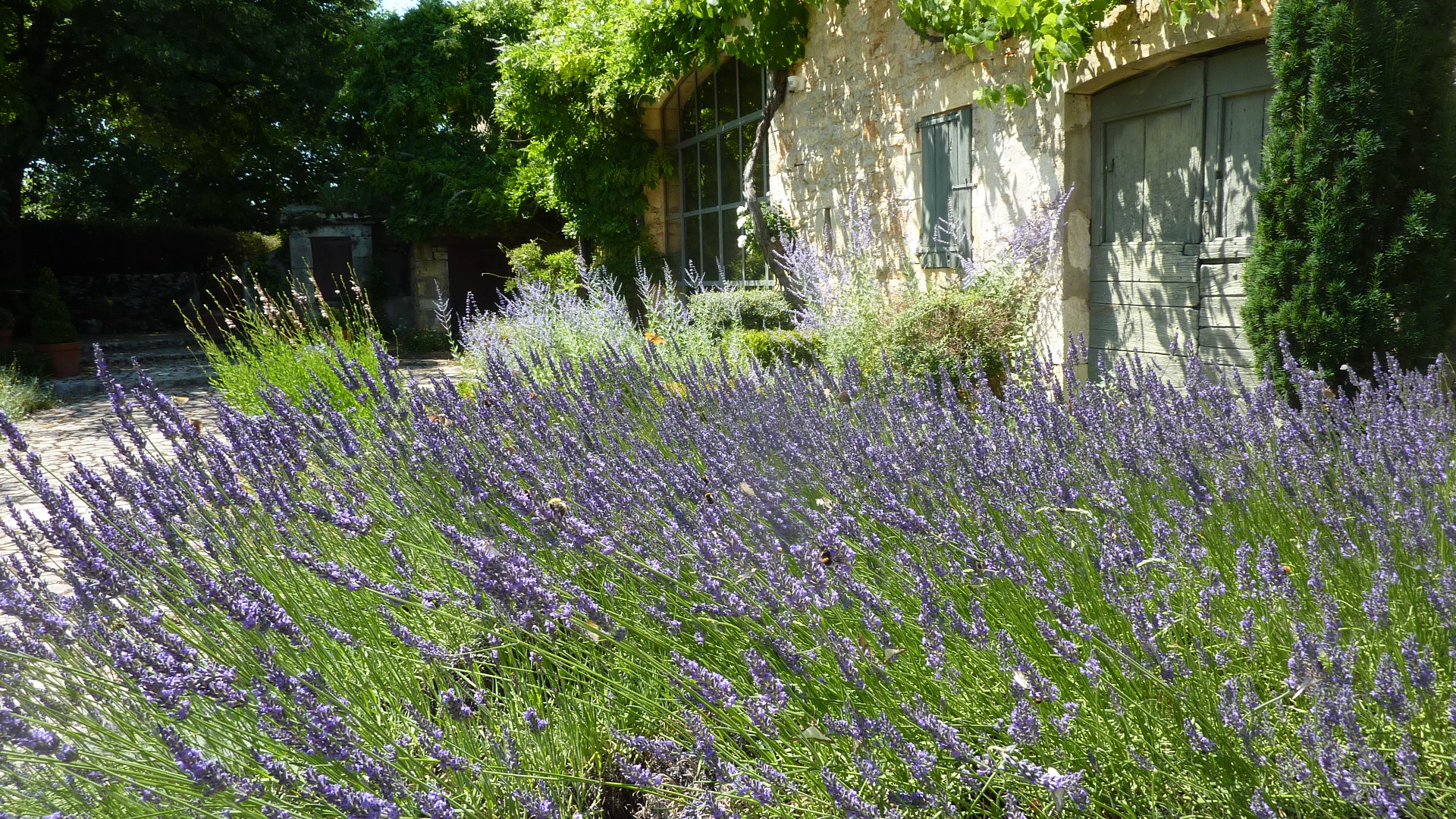 La Clé d'Escamps, Escamps - photo 12