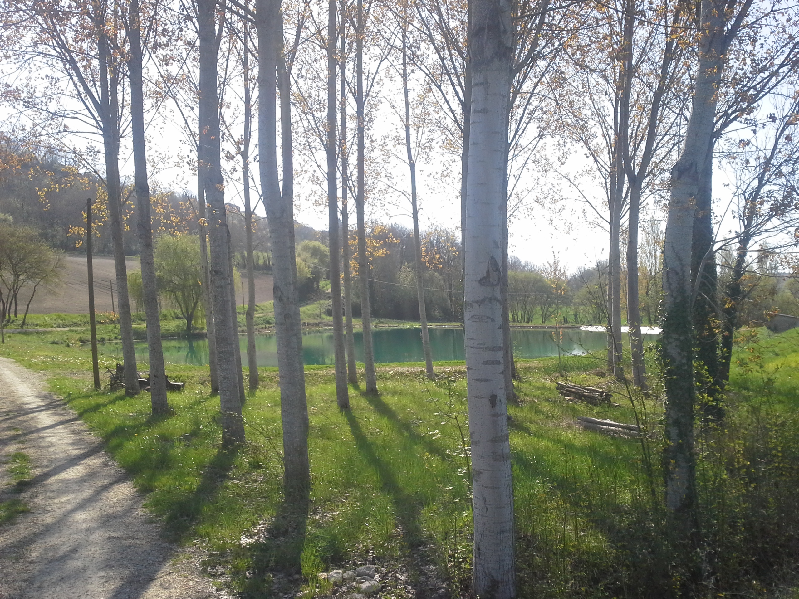 En Quercy Blanc - 5 jours à cheval, Saint-Paul-Flaugnac - photo 2
