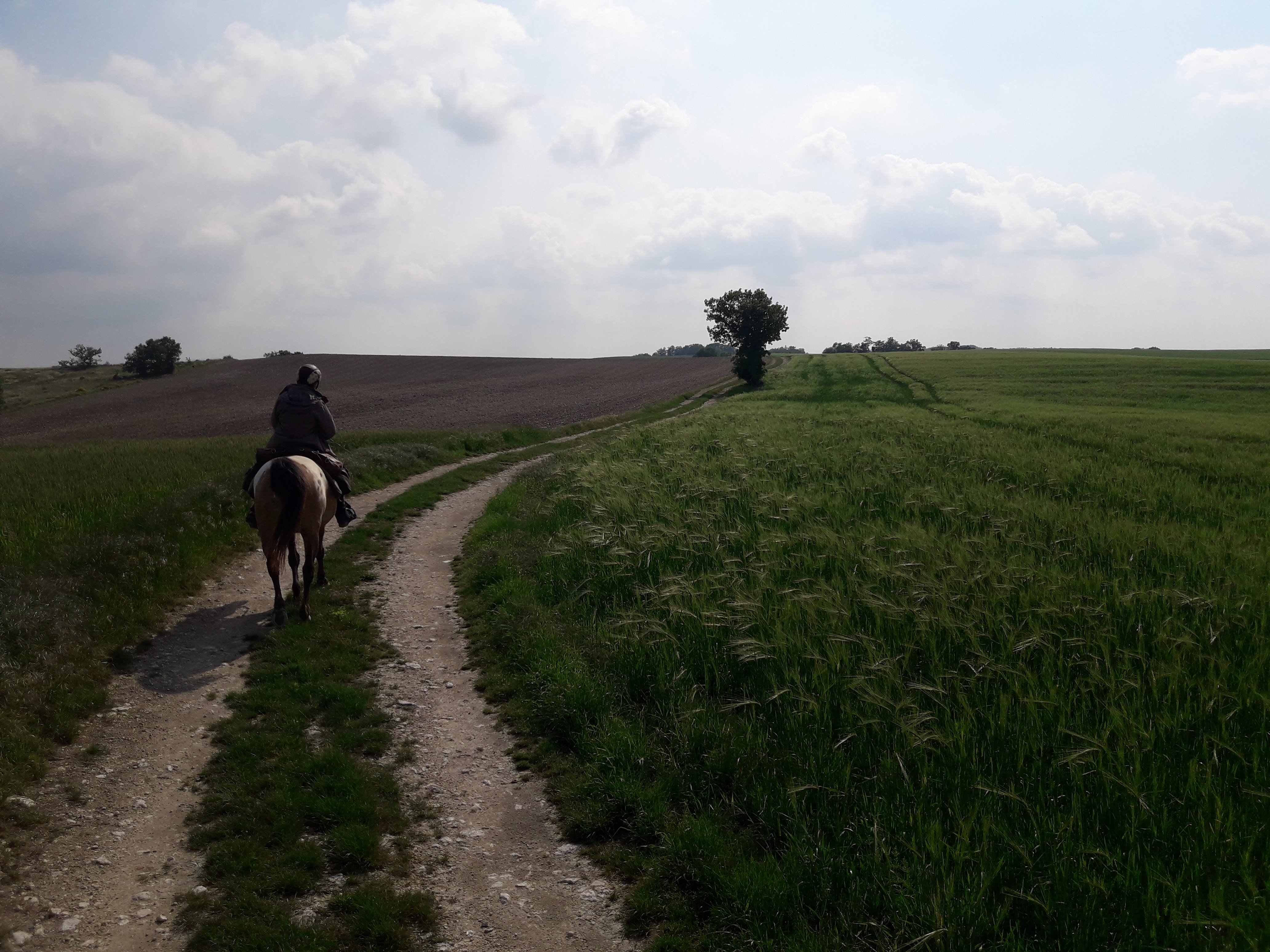 Sur les traces des 2 jours de Montcuq - de 3 à 7 jours à cheval, Saint-Paul-Flaugnac - photo 4