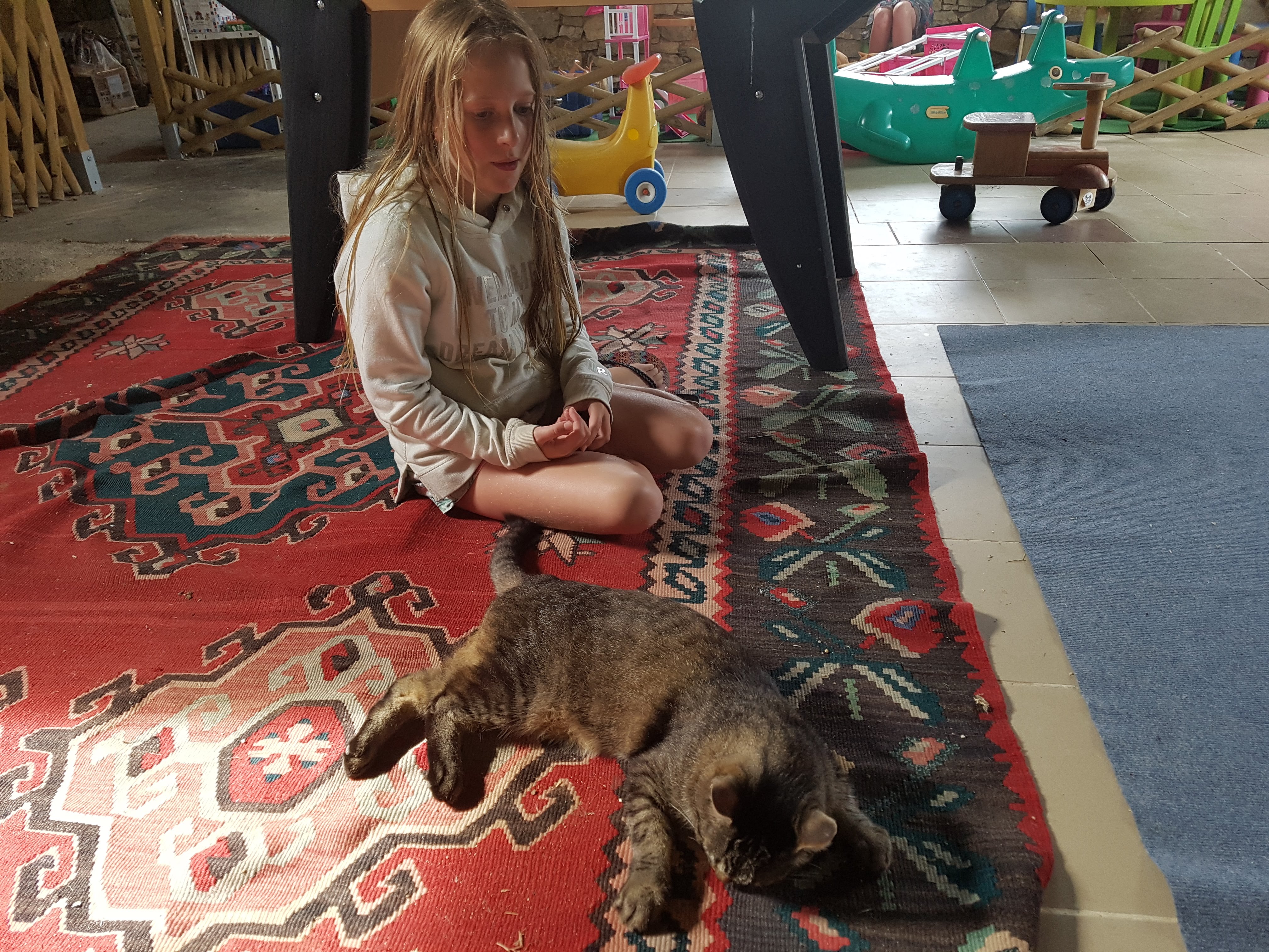 Willow Cottage, Lherm - photo 2