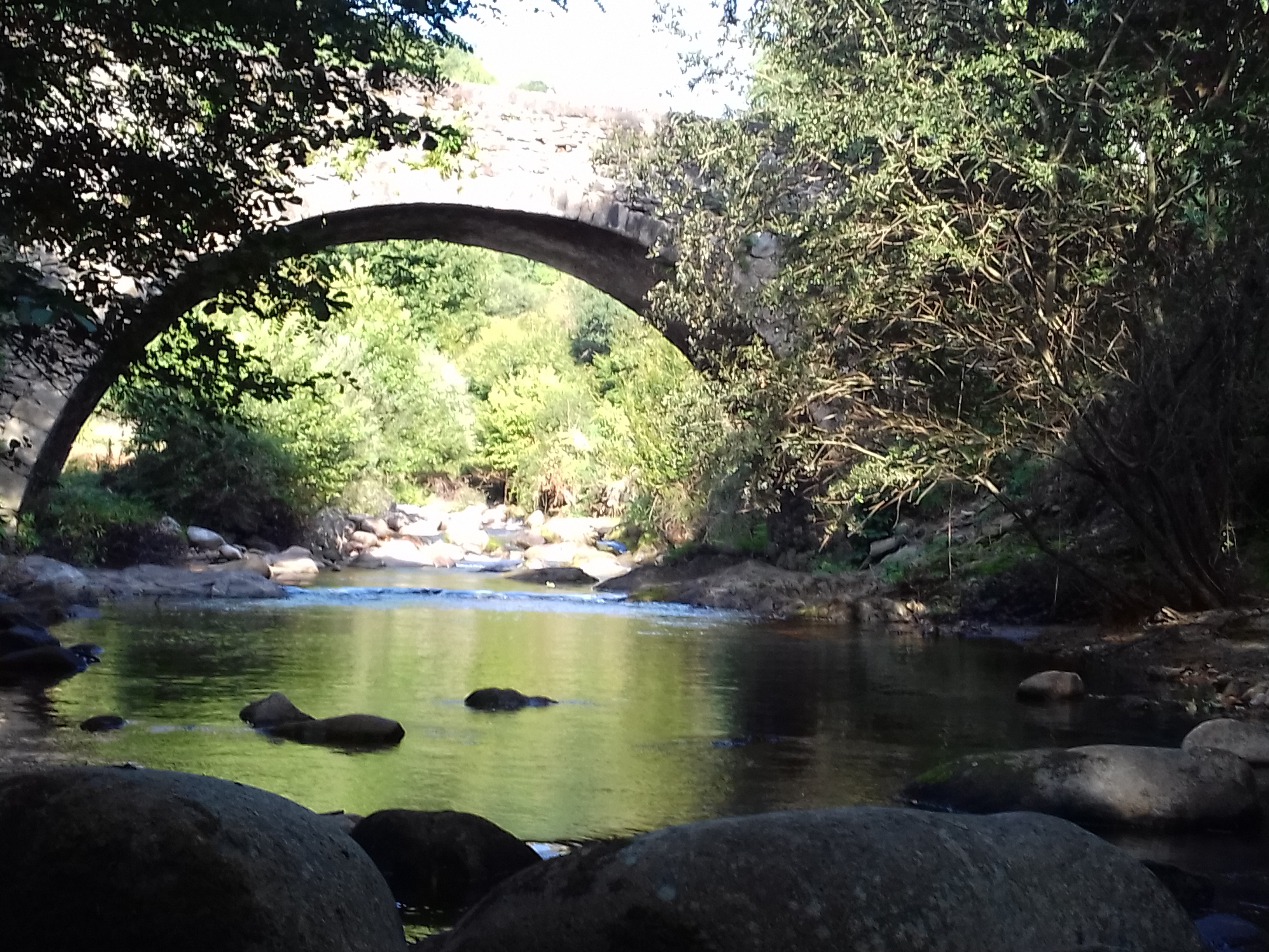 Gîte Mosaïque, Latouille-Lentillac